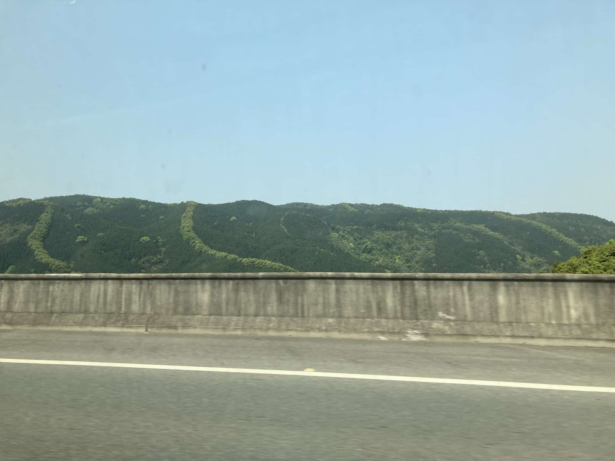 A Question About the Forests