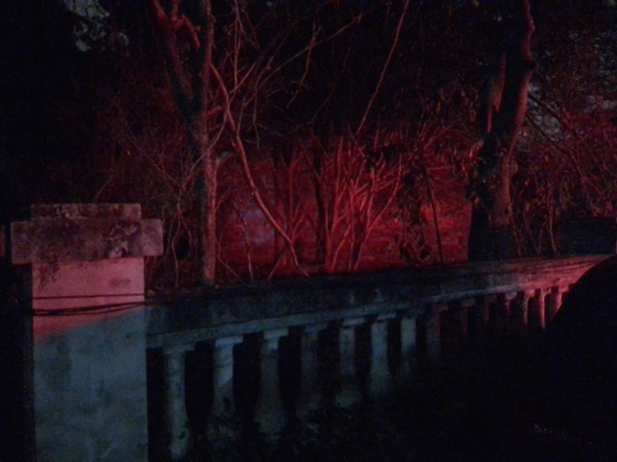 Another night walk photograph near home.