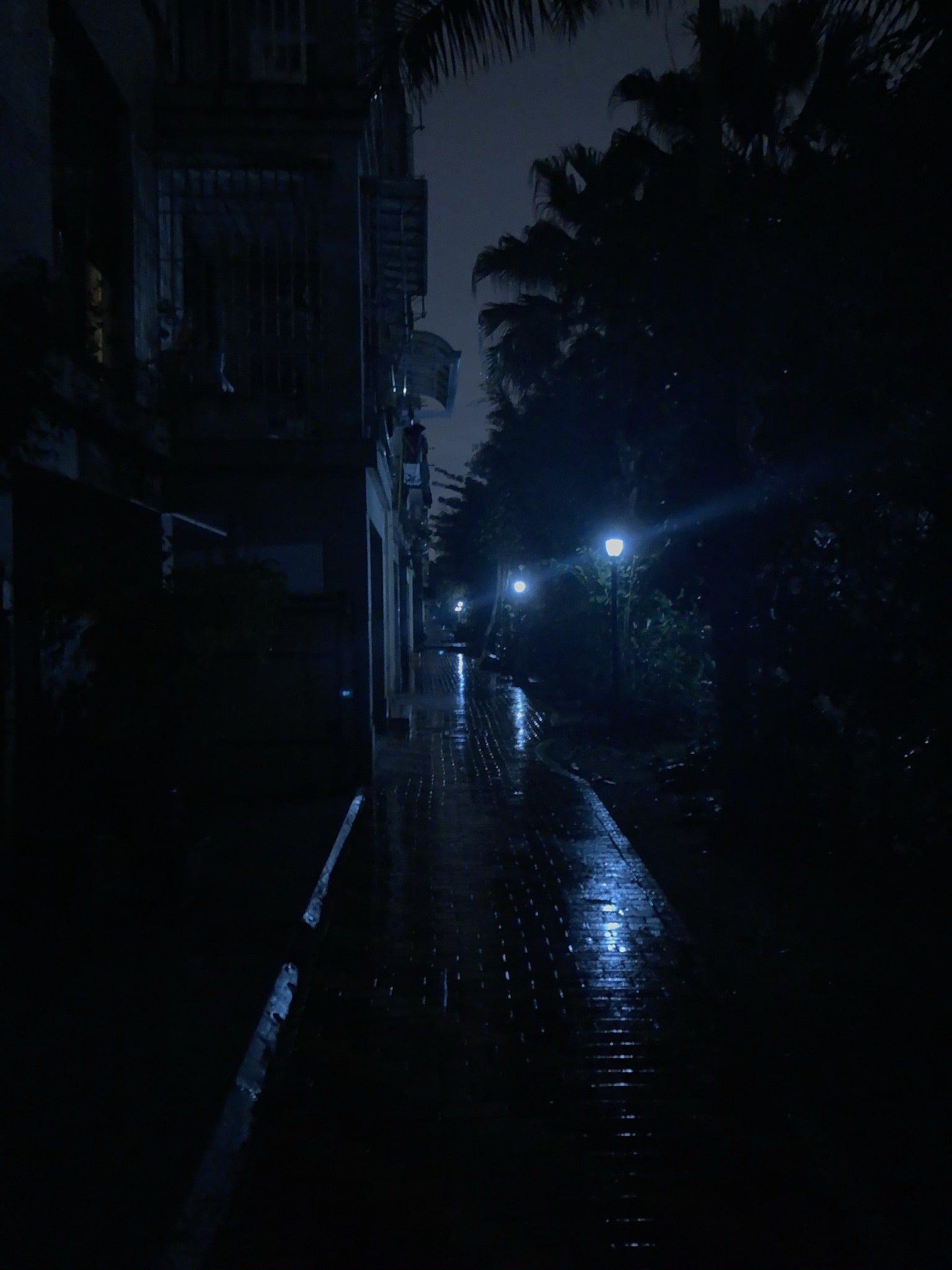 Third night walk photograph near home.