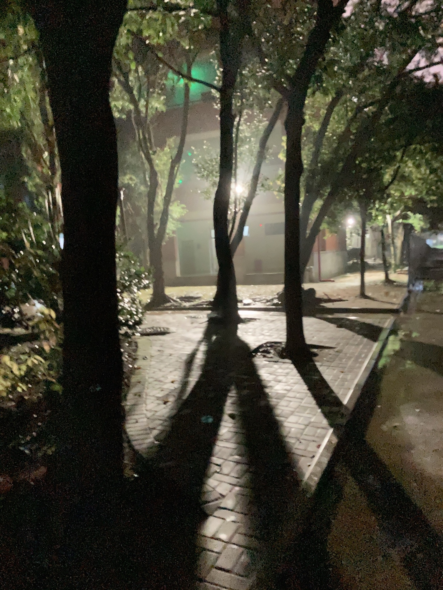 Another night photograph from high school.