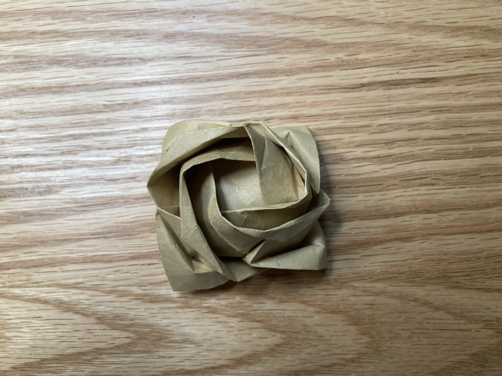 Rose by Toshikazu Kawasaki